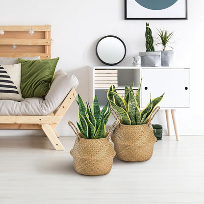 2 Pack Woven Seagrass Plant Basket with Handles, Ideal Wicker Baskets Storage Plant Pot Baskets for Laundry, Picnic, Plant Pot Cover, Beach Bag and Grocery Basket (L)